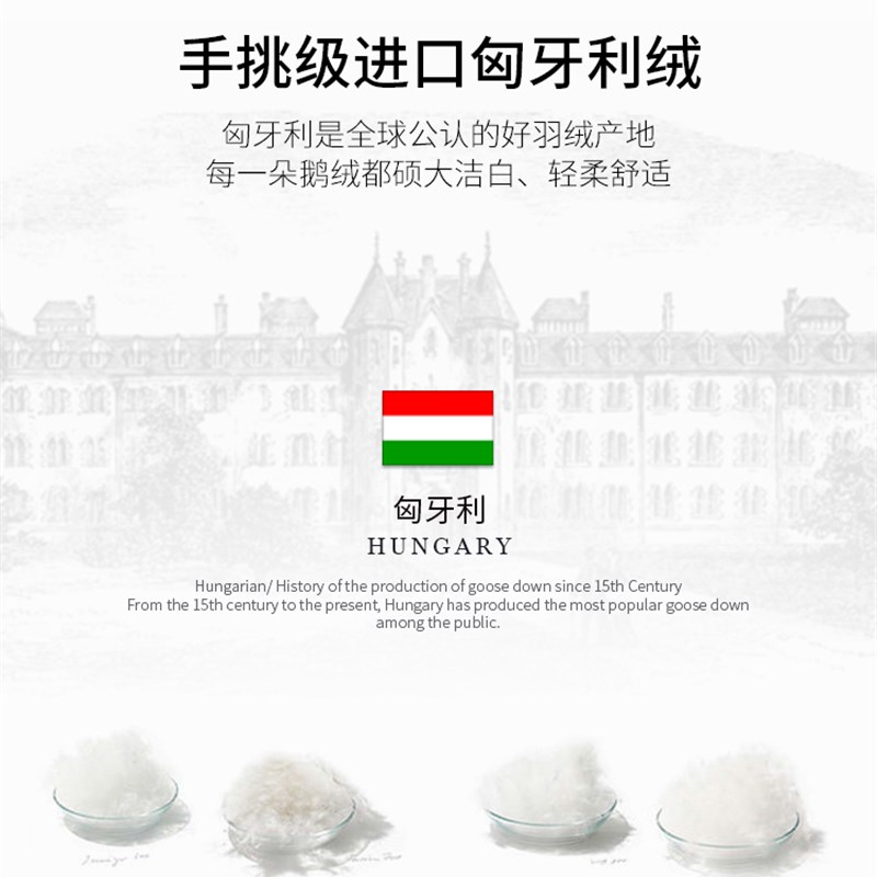 可水洗机洗羽绒冬被高奢被芯匈牙利95白鹅L绒夏被空调被地暖被加