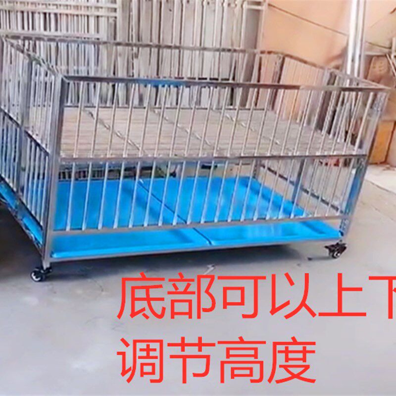 展示笼跑笼不锈钢狗笼子狗狗跑床宠物店展台小型犬V中型犬折叠笼