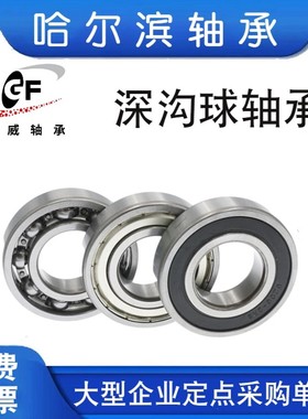 哈尔滨轴承HRB 6308 6309 6310 6311 6312 6313 6314 6315 2Z RS