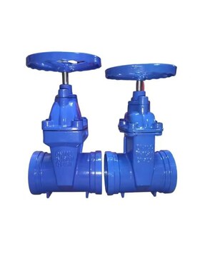 蓝色Z85X-16卡箍连接沟槽式暗杆弹性座封闸阀 软密封闸阀DN65-200