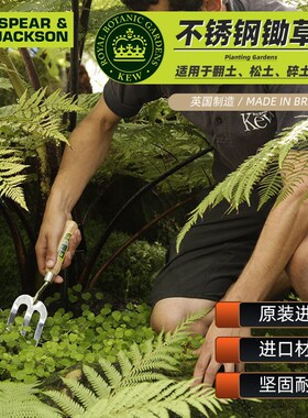 SPEAR & JACKSON小叉子不锈钢三齿家用绿植物盆栽户外花园松土