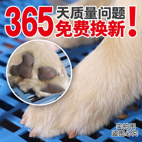 狗笼垫板狗垫子狗窝四季通用睡觉专用地垫睡垫塑料加W厚漏粪垫脚