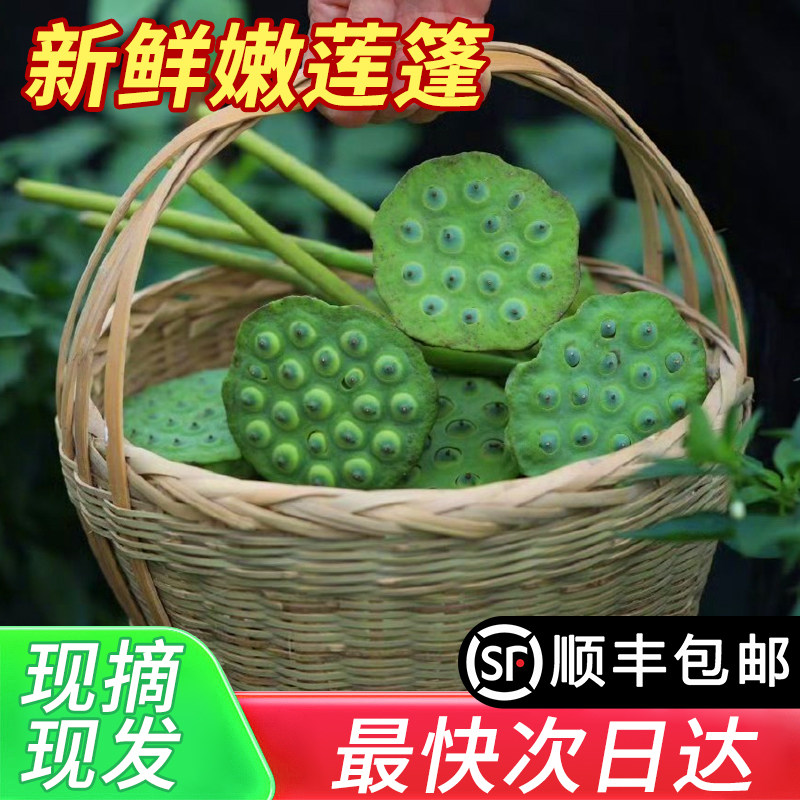 湖南湘莲新鲜现摘生鲜发货