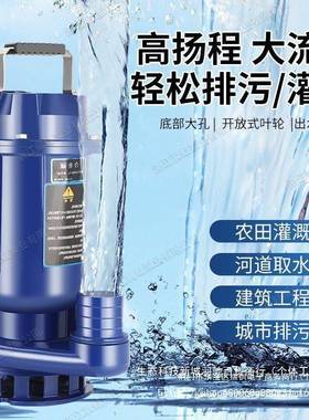 晨蛙小水泵22V家用型抽水0泵高扬程化粪池抽水抽粪排污污泵3SVL80