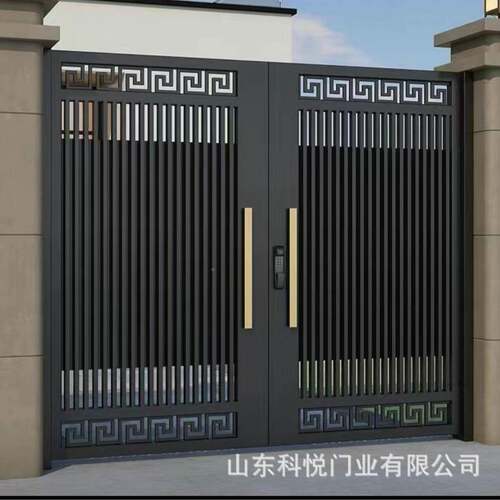 新中式进户门农动村门自建房双庭无品牌/院庭院入户自智能开门铝
