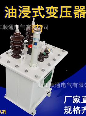 0户630KVA外单相油浸式变压器D11-630/8002/100/2510/000KVA电力