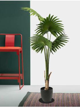 仿植物仿生散尾葵厅蒲葵假LFO室绿植装饰客落地大型盆栽内盆景真