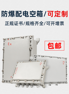 防爆箱400*300空箱500*400仪表电力检修控制柜照明动力配电接线箱
