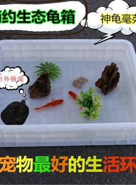 乌龟箱养龟专用缸带排水塑料养鱼盆家用小号乌龟饲养盒生态造景缸