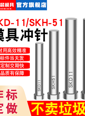 国产模具冲针SKD-11冲头 冲孔 T冲SKH-51 非标不锈钢冲针订做超硬