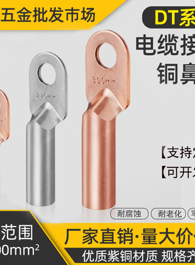 DT-10 16 300平方铜鼻子接线端子电线电缆铜接头紫铜线耳镀锡厂标