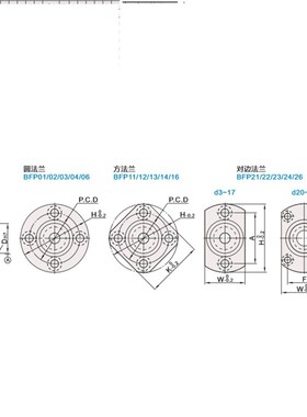 双轴承法兰型带座支撑BFP01 11 21-6800 6900 6000ZZ-20 25 30 40