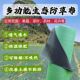 防草布除草布厂家直销绿黑地布渗水地膜抗老化遮草布单张果园果树