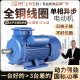 2.2 1.5 3KW高速全铜线异步马达 1.1 单相电机220V小型两相0.75