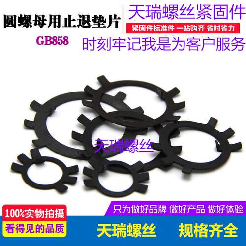 GB858止退垫圈/圆螺母用止动垫圈M180M190M200M210M215M220M400