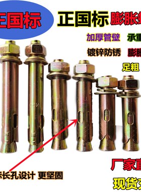 正国标膨胀螺丝10mm镀锌膨胀螺栓拉爆螺丝膨胀8mm带孔胀栓