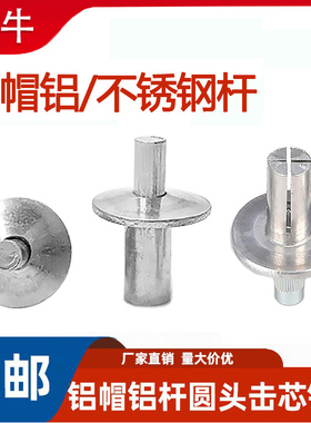 铝击芯铆钉不锈钢半圆头敲击式铝铆钉开花膨胀螺丝大全 GB/T15855
