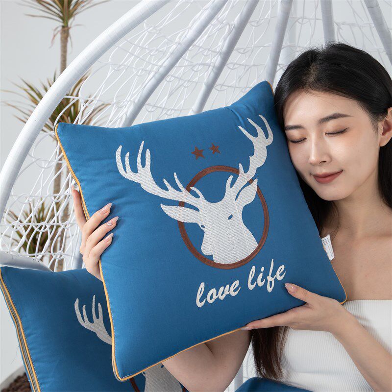 4斤重全棉两用抱枕被子车载靠垫沙发办公O室午休空调被可机洗