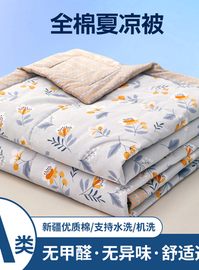 A类纯棉凉被空调被10q0全棉可机洗夏季学生宿舍单双人薄被子被芯