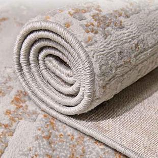 用现代简约丙纶地毯新客厅威尔顿机织阿克羊明毛尼2024龙印花款家