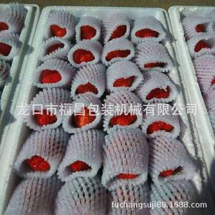 哈密瓜网套机草莓西葫芦装 发84泡网套机自动包机福昌1379122FC