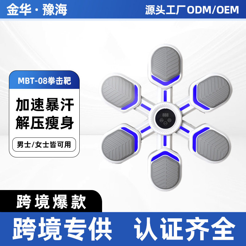 专业拳击散打训练沙袋墙靶家用