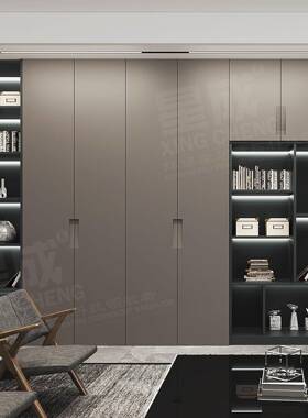 现代简约静喷粉柜门免拉E0级用环保家一LKZ门到顶橱手电柜衣柜门