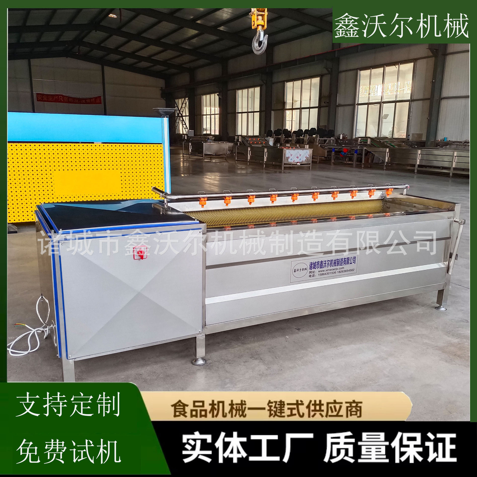 全自动地瓜洋葱去皮设备 土豆毛刷清洗去皮机 生姜毛辊清洗去皮机