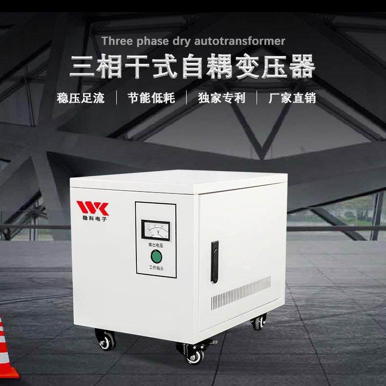 3KVA三相自耦变器38SG-3KVA0V转2压20/2000V40V415V811V进出口调