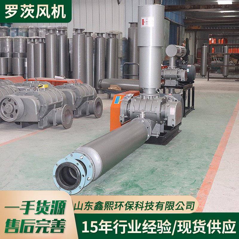三叶罗茨鼓风机污水处理用罗茨风机水产增氧风机脱硫脱硝风机