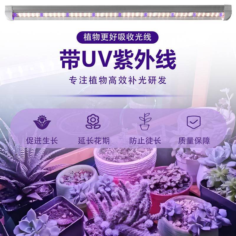 多肉上色防徒长UZWD01VA紫外线植物阳花卉食虫增色仿灯太光谱补草