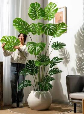 仿真植TKZ绿植背竹高端龟轻栽奢盆大型室内客厅摆件绿色物