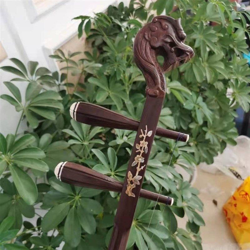 老红木瑞龙贝Q雕广东高胡