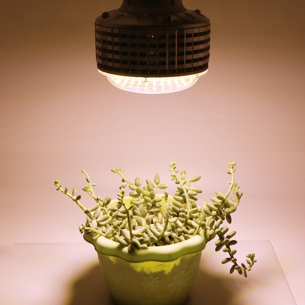 e27全光led暖光谱植物灯家用阳生长灯大棚SWX火果龙龙舌兰补台光