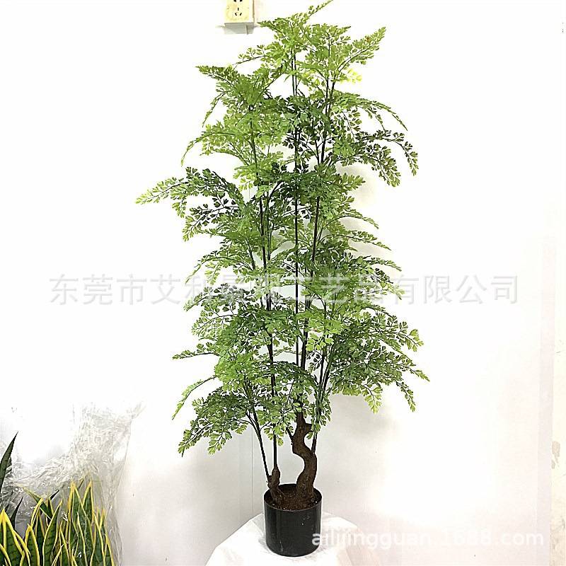 蕨类波斯草植物家居客厅办公室树盆栽假树绿植盆景装饰王仿真绿植