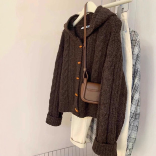 美拉德牛角扣连帽开衫 毛衣女秋冬温柔风麻花针织外套软糯外穿上衣