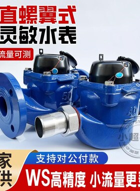 垂直螺翼式水表WS80立式高灵敏高精度宽量程干式可拆数字法兰水表