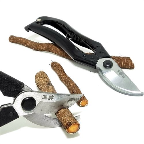 日本清鹤花枝剪鹤岗树枝果树修枝剪盆栽园艺剪刀粗枝修剪日本SK-5