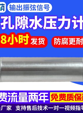 振弦式渗压计孔隙水压力计高精度地下水位大坝钻井工程监测孔压计