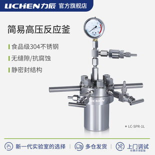 力辰科技简易高压反应釜实验室不锈钢高气密性消解罐防腐蚀耐高温