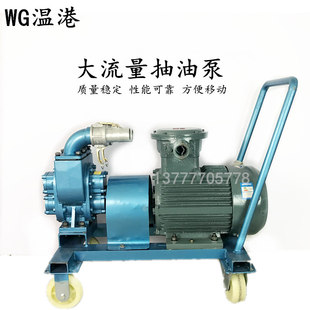 380V防爆大功率抽油泵2 油桶泵 4寸大流量齿轮油泵柴油泵手推式