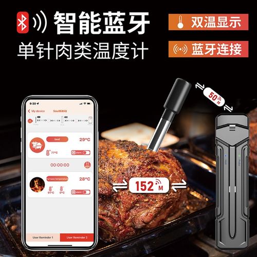 探针蓝牙APP无线远程数字厨房食物烤肉烧烤温度计单双探针IP67防