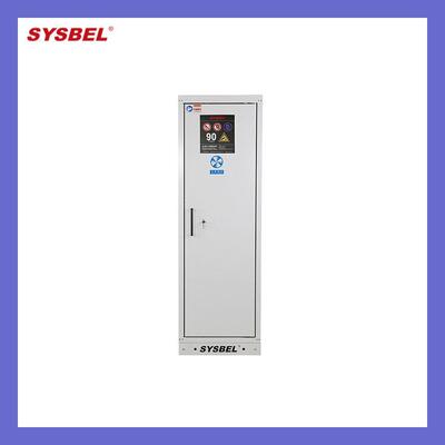 SYSBEL90分钟耐火气储存柜（）SE790101