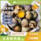 生态鹌鹑蛋1kg新鲜孕妇宝宝辅食绿手指农园邹子龙