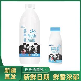 新疆天润牛奶低温纯牛奶鲜牛乳巴氏杀菌乳营养奶245g/瓶和950g/瓶