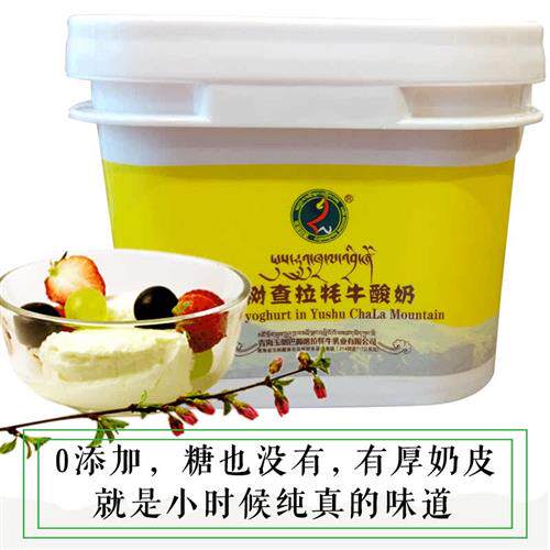 青海特产纯牦牛奶酸奶0添加酸奶2斤原味健身酸奶自制素食早餐食品