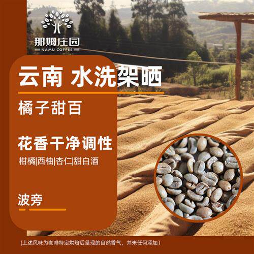 那姆庄园橘子甜百 厌氧水洗波旁精品云南咖啡生豆原料可代烘焙1KG