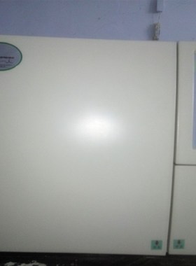 气相色谱仪GC-2010特级酒精分析气相色谱仪