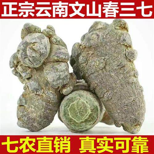 正宗云南文山春三七特级40头30头野生田七滑头无剪口正品500g