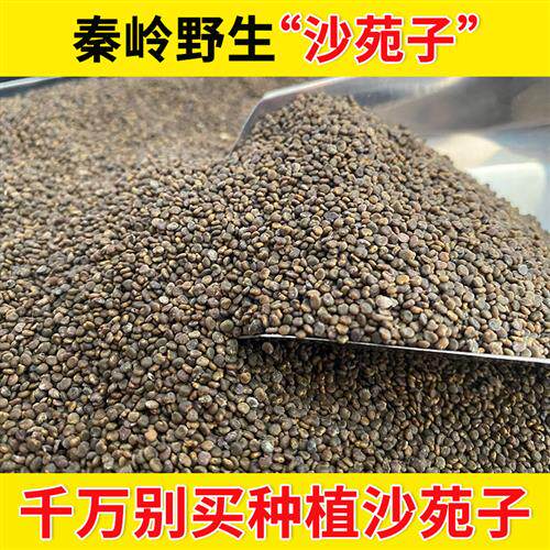 野生沙苑子正品官方经营店菟丝子沙苑子覆盆子山茱萸组合泡水喝